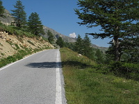 Haute Alpes - Stoup�n� Lombarde